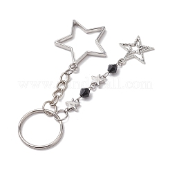 Alloy Pendant Keychian&nbsp;KEYC-JKC00799-02