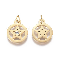 316 Surgical Stainless Steel Charms&nbsp;STAS-L242-04G