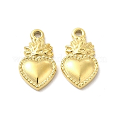 Ion Plating(IP) 304 Stainless Steel Charms&nbsp;X-STAS-F284-14G