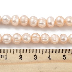 Natural Cultured Freshwater Pearl Beads Strands&nbsp;PEAR-C003-01B