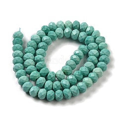 Dyed Natural Howlite Beads Strands&nbsp;G-G023-A01-01C