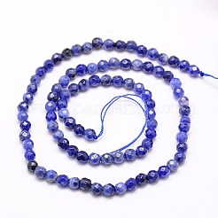 Natural Sodalite Beads Strands&nbsp;X-G-G545-16