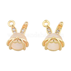 Brass Micro Pave Clear Cubic Zirconia Charms&nbsp;KK-N231-389