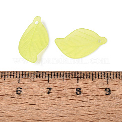 Transparent Acrylic Pendants&nbsp;FACR-R007-12-01
