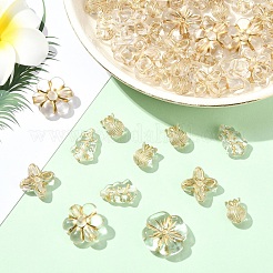 60G 6 Styles Metal Enlaced Transparent Acrylic Beads&nbsp;MACR-YW0003-43