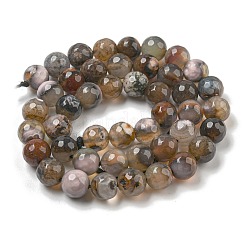 Natural Agate Beads Strands&nbsp;G-M437-B01-03