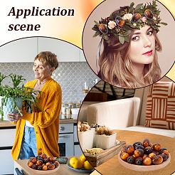 Foam Chinese Olive Display Decoration&nbsp;DJEW-GF0001-90B