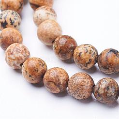 Gemstone Beads Strands&nbsp;GSR6mmC016
