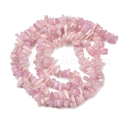 Natural Kunzite Beads Strands&nbsp;G-P597-A01-01