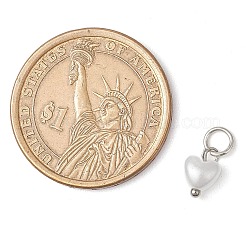 ABS Imitation Pearl Charms&nbsp;PALLOY-JF03222-01