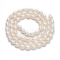Natural Cultured Freshwater Pearl Beads Strands&nbsp;PEAR-N012-04D