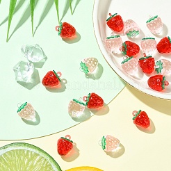10Pcs Transparent Acrylic Pendants&nbsp;OACR-YW0002-31A