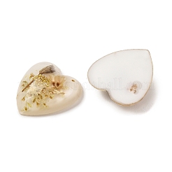 Transparent Resin Cabochons&nbsp;RESI-K033-12A