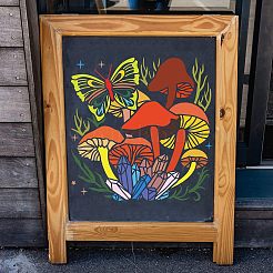 Plastic Reusable Drawing Painting Stencils Templates&nbsp;DIY-WH0172-538