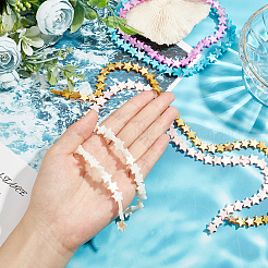 5 Strands 5 Colors Natural Freshwater Shell Beads Strands&nbsp;SHEL-FH0001-10