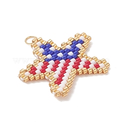 Glass Seed Beaded Pendants&nbsp;PALLOY-MZ01256