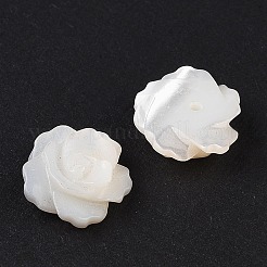 Natural White Shell Beads&nbsp;SSHEL-C012-06