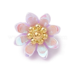 Resin Charms&nbsp;PALLOY-JF03254-02