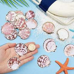 20Pcs Electroplate Natural Sea Shell Pendants&nbsp;SSHEL-PH0001-52