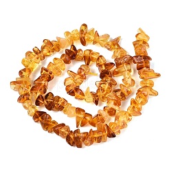 Natural Amber Beads Strands&nbsp;G-N371-21A-01