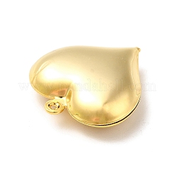 Rack Plating Brass Pendants&nbsp;LS-KK-K269-02G-RS