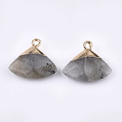 Electroplate Natural Labradorite Pendants&nbsp;G-T112-04A