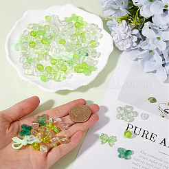 Transparent Mixed Styles Acrylic Beads&nbsp;TACR-SC0001-27B