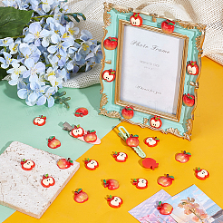 80Pcs 2 Styles Resin Cabochons&nbsp;RESI-PH0002-49