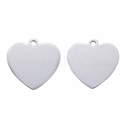 Tarnish Resistant 304 Stainless Steel Pendants&nbsp;STAS-I140-10B-S
