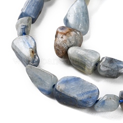 Natural Kyanite Beads Strands&nbsp;G-P497-01C-60