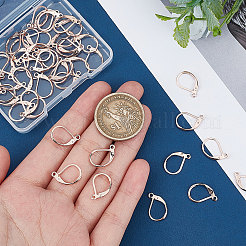50Pcs 304 Stainless Steel Leverback Earring Findings&nbsp;STAS-BBC0001-44RG