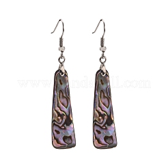 Abalone Shell/Paua ShellEarrings&nbsp;EJEW-Q166-1