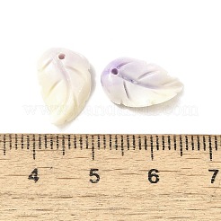 Synthetic Shell Dyed Carved Feather Charms&nbsp;BSHE-H111-02