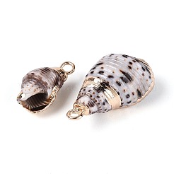 Electroplated Natural Shell Pendants&nbsp;BSHE-T015-03