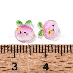 Cartoon Transparent Resin Cabochons&nbsp;LS-CRES-R459-01D