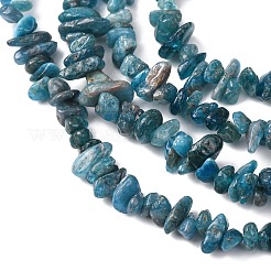 Natural Apatite Beads Strands&nbsp;X-G-F666-01B-02-01