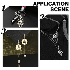 12Pcs 6 Style 201 Stainless Steel Pendants&nbsp;STAS-DC0004-23