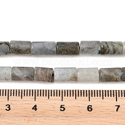 Natural Labradorite Beads Strands&nbsp;G-F832-B10-01