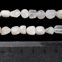 Natural Rainbow Moonstone Beads Strands&nbsp;G-P497-01E-69A