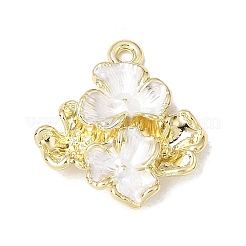 Alloy Enamel Pendants&nbsp;FIND-E062-03