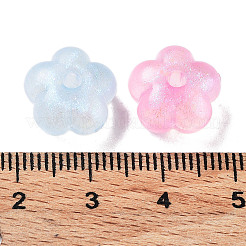 Transparent Acrylic Beads&nbsp;OACR-Z013-18