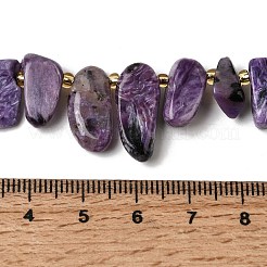 Natural Charoite Beads Strands&nbsp;G-P604-A29-01
