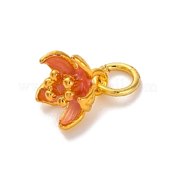 Brass Enamel Charms&nbsp;KK-U042-14G-01