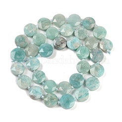 Natural Amazonite Beads Strands&nbsp;G-C116-A23-01A