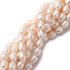 Natural Cultured Freshwater Pearl Beads Strands&nbsp;PEAR-L001-A-20