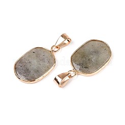 Natural Labradorite Pendants&nbsp;G-N349-04E-G