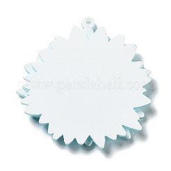 Printed Transparent Acrylic Pendants&nbsp;X-SACR-P029-B03