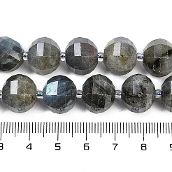 Natural Labradorite Beads Strands&nbsp;G-G182-B02-07
