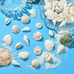 48Pcs 4 Styles Natural Shell Beads&nbsp;BSHE-YW0001-06