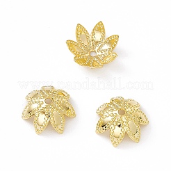 Brass Beads Caps&nbsp;KK-A172-10G